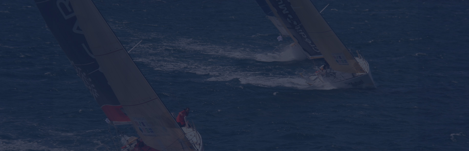 Invest in the Best Companies